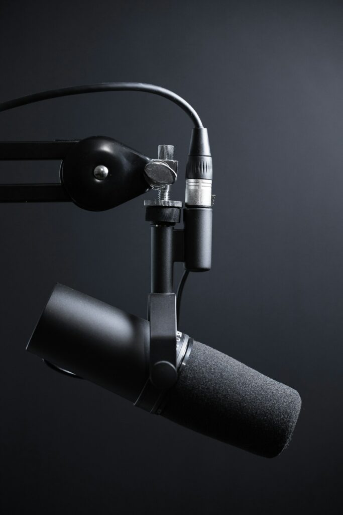 Professional microphone on a stand in a home recording studio with soundproofing