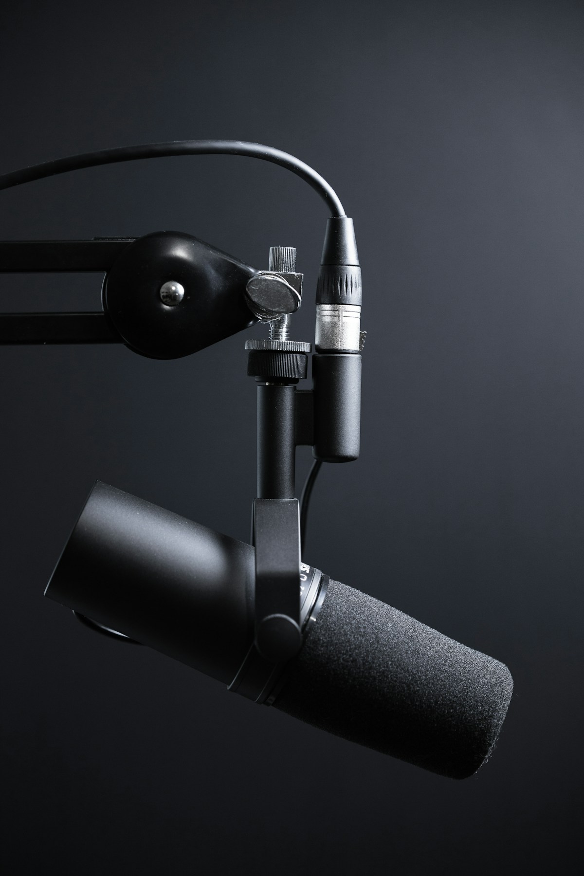Professional microphone on a stand in a home recording studio with soundproofing